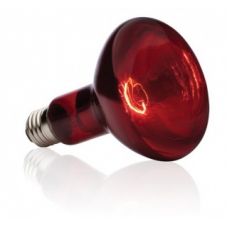 Лампа накаливания инфракрасная зеркальная ИКЗК 100W 220V R95 E27