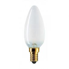 FAVOR Лампа накаливания ДСМТ Е14 60W матовая